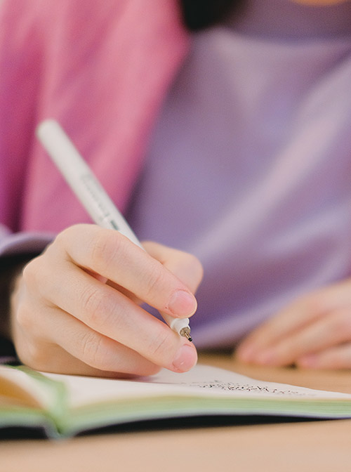 formacion para profesionales formacion terapeutas barbara zorrilla pantoja